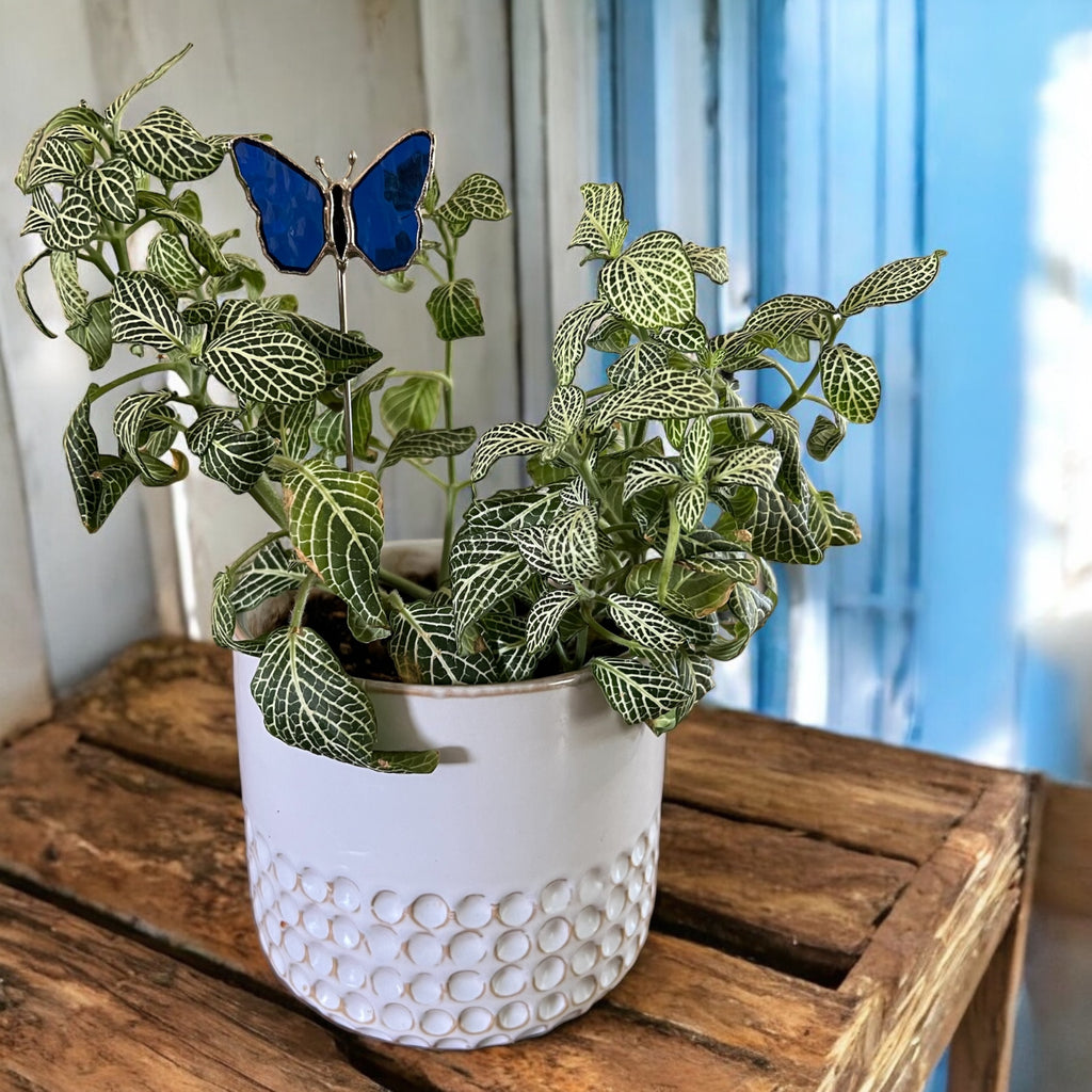 Holiday Mini Plant Stake- Blue Butterfly