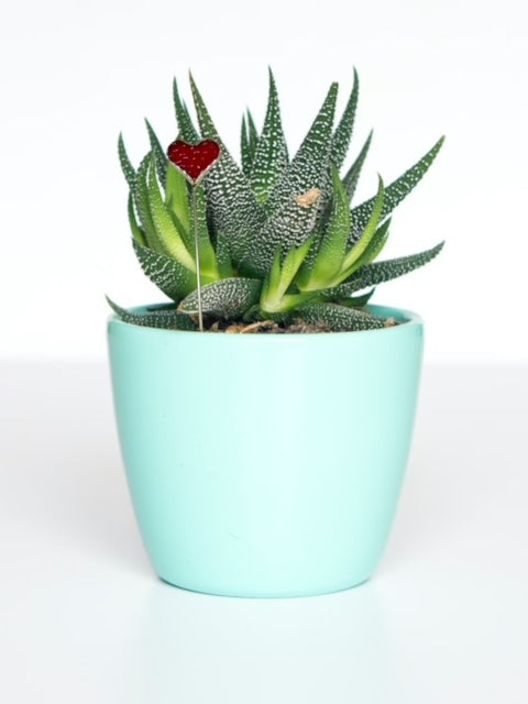 Holiday Mini Plant Stake- HEART