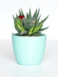 Holiday Mini Plant Stake- HEART