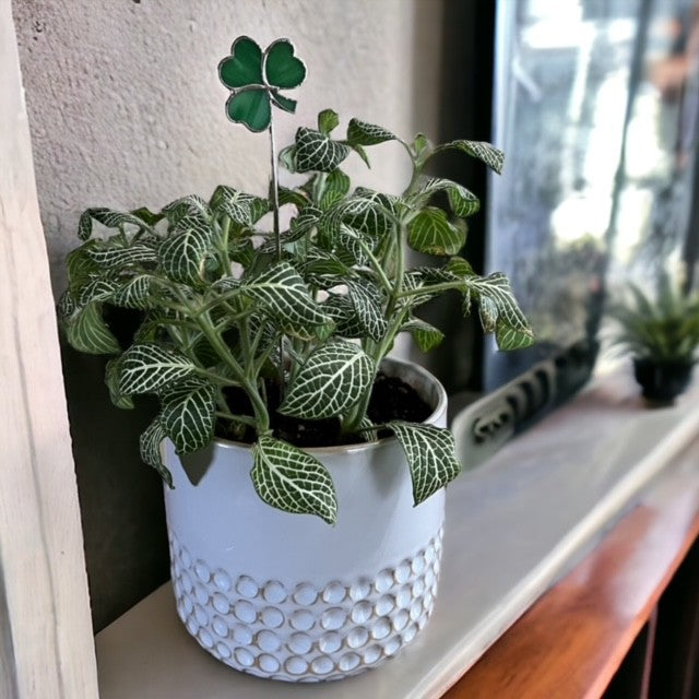 Holiday Mini Plant Stake- Shamrock