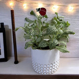 Holiday Mini Plant Stake- Spring LADYBUG