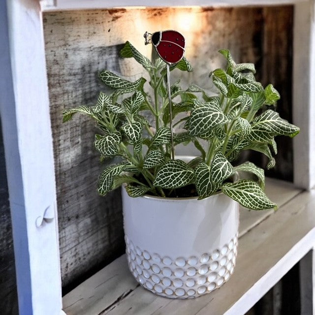 Holiday Mini Plant Stake- Spring LADYBUG