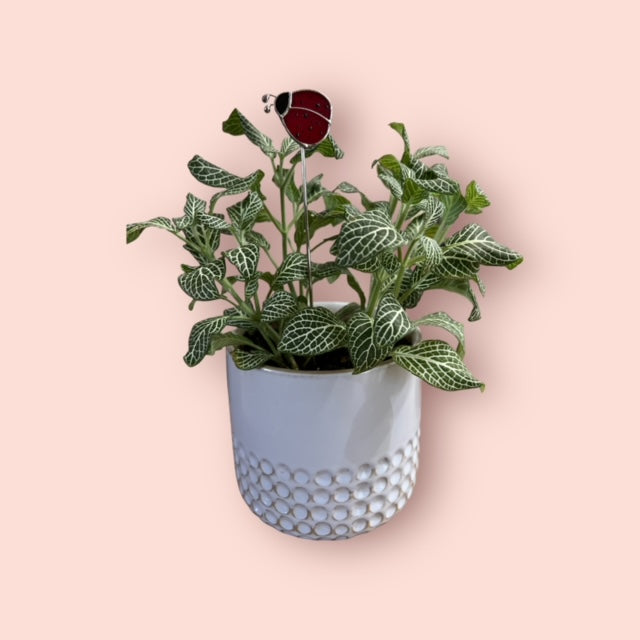 Holiday Mini Plant Stake- Spring LADYBUG