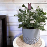 Holiday Mini Plant Stake- Spring Pink PEEP