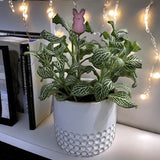 Holiday Mini Plant Stake- Spring Pink PEEP