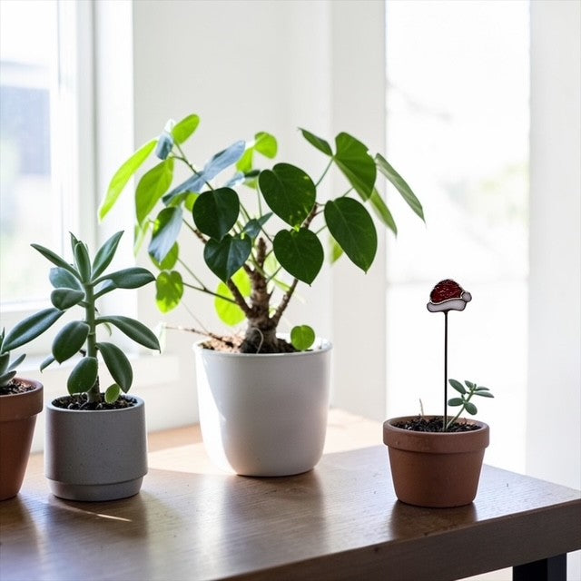 Mini Plant Stake- Santa's Hat (Coming Soon)