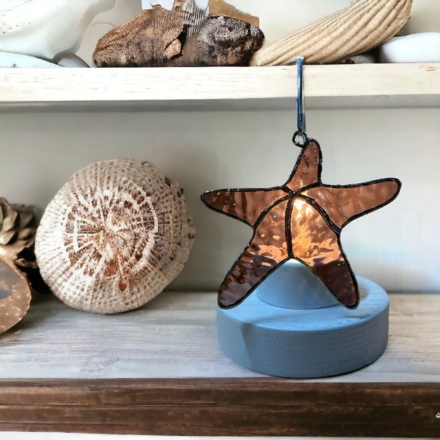 Glass Cover- Starfish