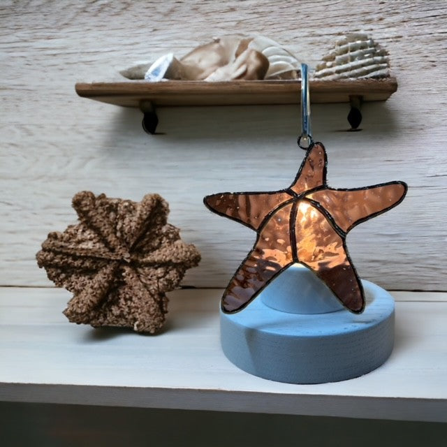 Glass Cover- Starfish
