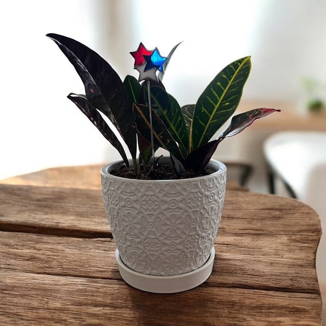 Holiday Mini Plant Stake- FIREWORKS