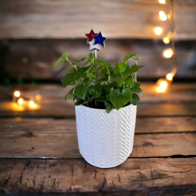 Holiday Mini Plant Stake- FIREWORKS