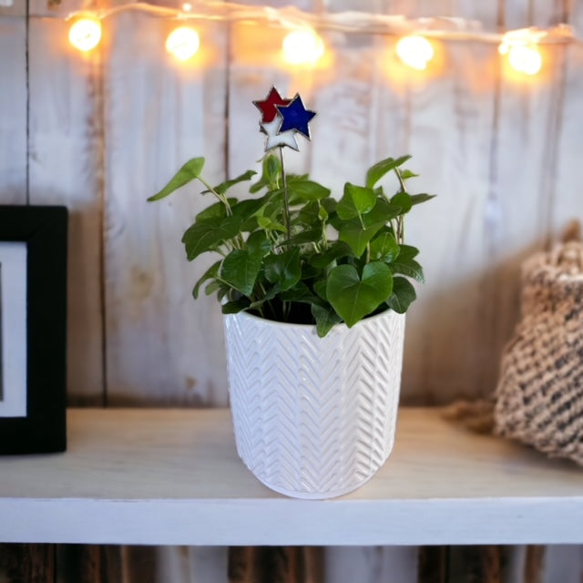 Holiday Mini Plant Stake- FIREWORKS