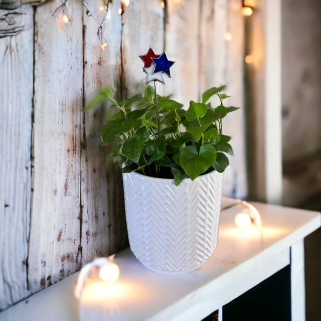 Holiday Mini Plant Stake- FIREWORKS