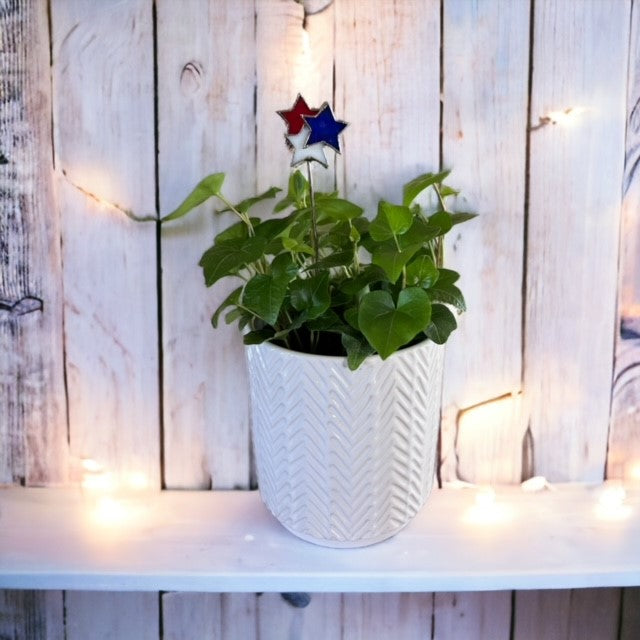 Holiday Mini Plant Stake- FIREWORKS