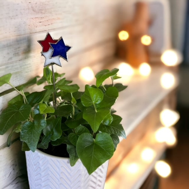 Holiday Mini Plant Stake- FIREWORKS