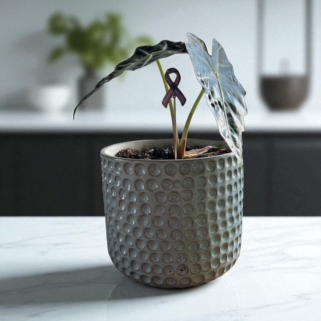 Holiday Mini Plant Stake- Lavender Cancer Ribbon (For All Cancer)