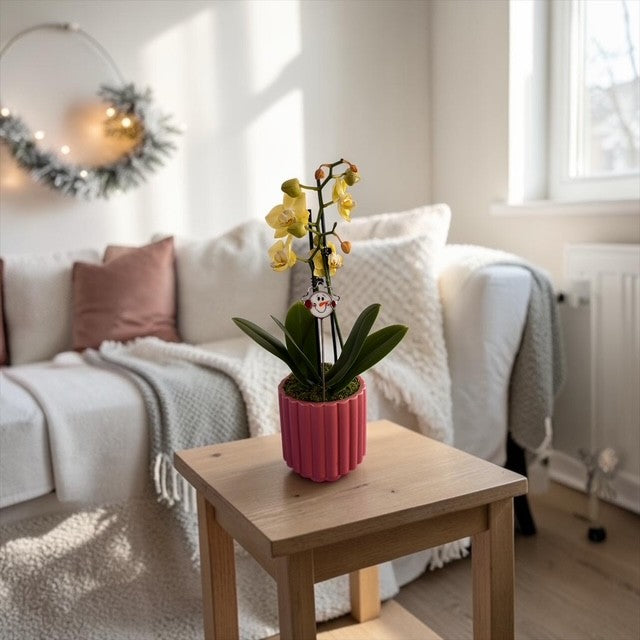 Mini Plant Stake- Winter Snowball (Coming Soon)