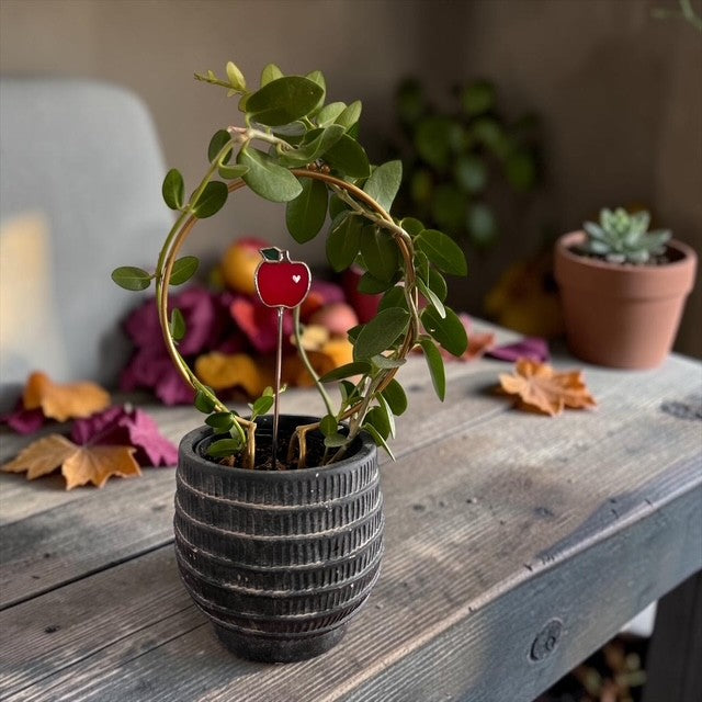Mini Plant Stake- Apple