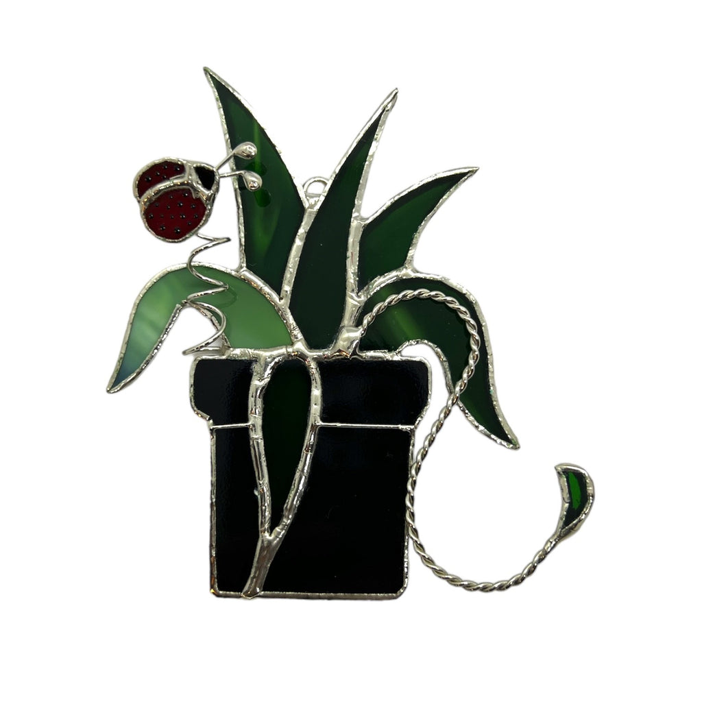 Glass Cover- Spider Plant with Ladybug