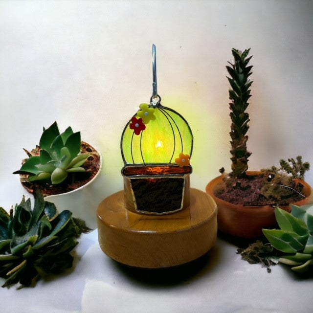 Glass Cover- CACTUS Succulent