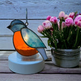 Glass Cover- Blue Bird / Robin