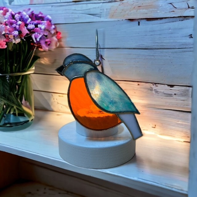 Glass Cover- Blue Bird / Robin