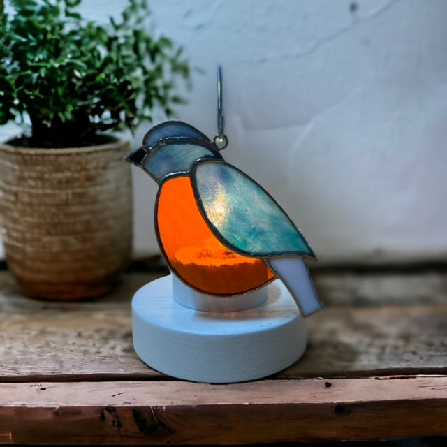 Glass Cover- Blue Bird / Robin