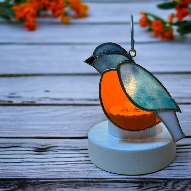 Glass Cover- Blue Bird / Robin