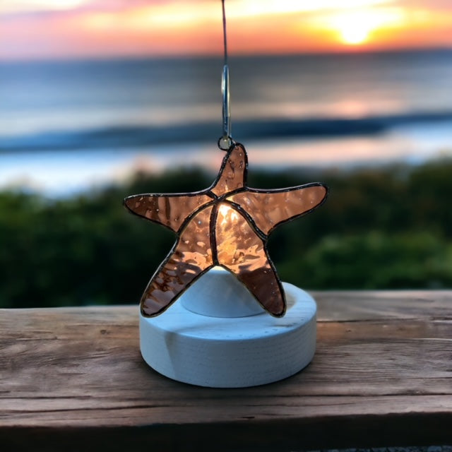 Glass Cover- Starfish