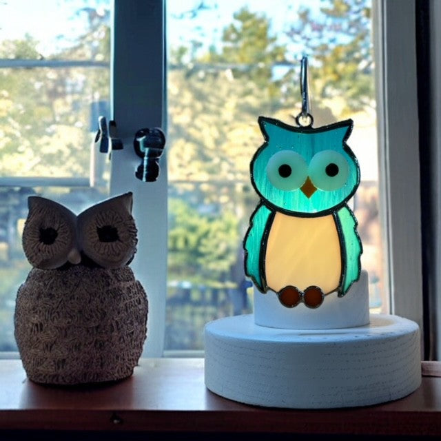 Glass Cover- Owl
