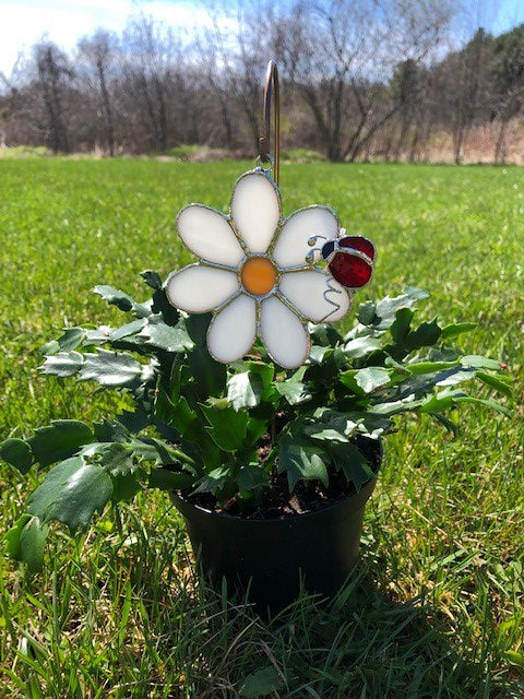 'Plant Stakes' (4 pc Pack)