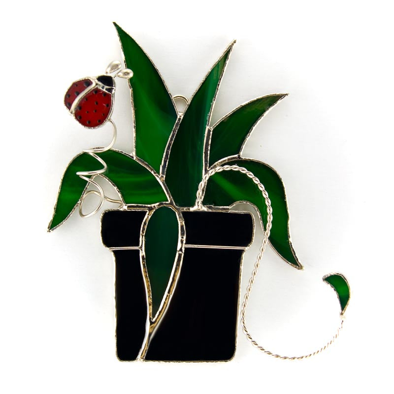 Glass Cover- Spider Plant with Ladybug