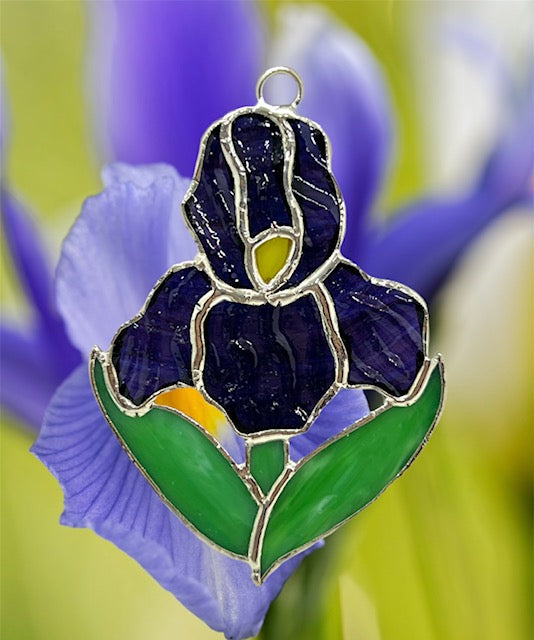 Glass Cover- Iris Flower