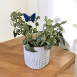 Holiday Mini Plant Stake- Blue Butterfly