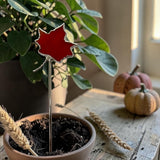 Mini Plant Stake- Maple Leaf RED