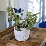 Holiday Mini Plant Stake- Blue Butterfly