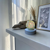 Glass Cover- Coastal Sand Dollar