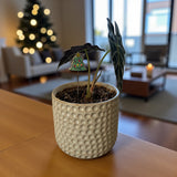 Holiday Mini Plant Stake- Christmas Tree