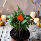 Mini Plant Stake- Maple Leaf ORANGE