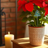 Holiday Mini Plant Stake- Christmas Tree