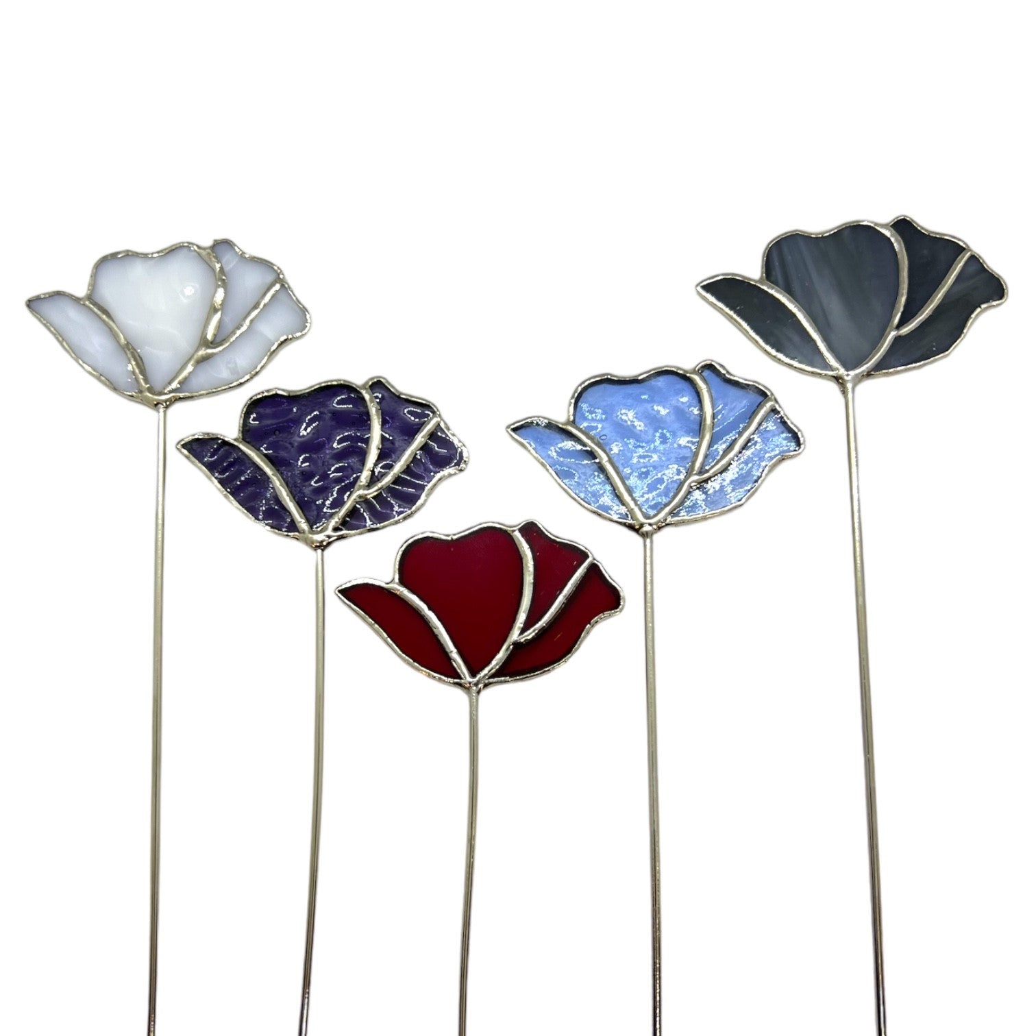 Wildflower F005 – Switchables