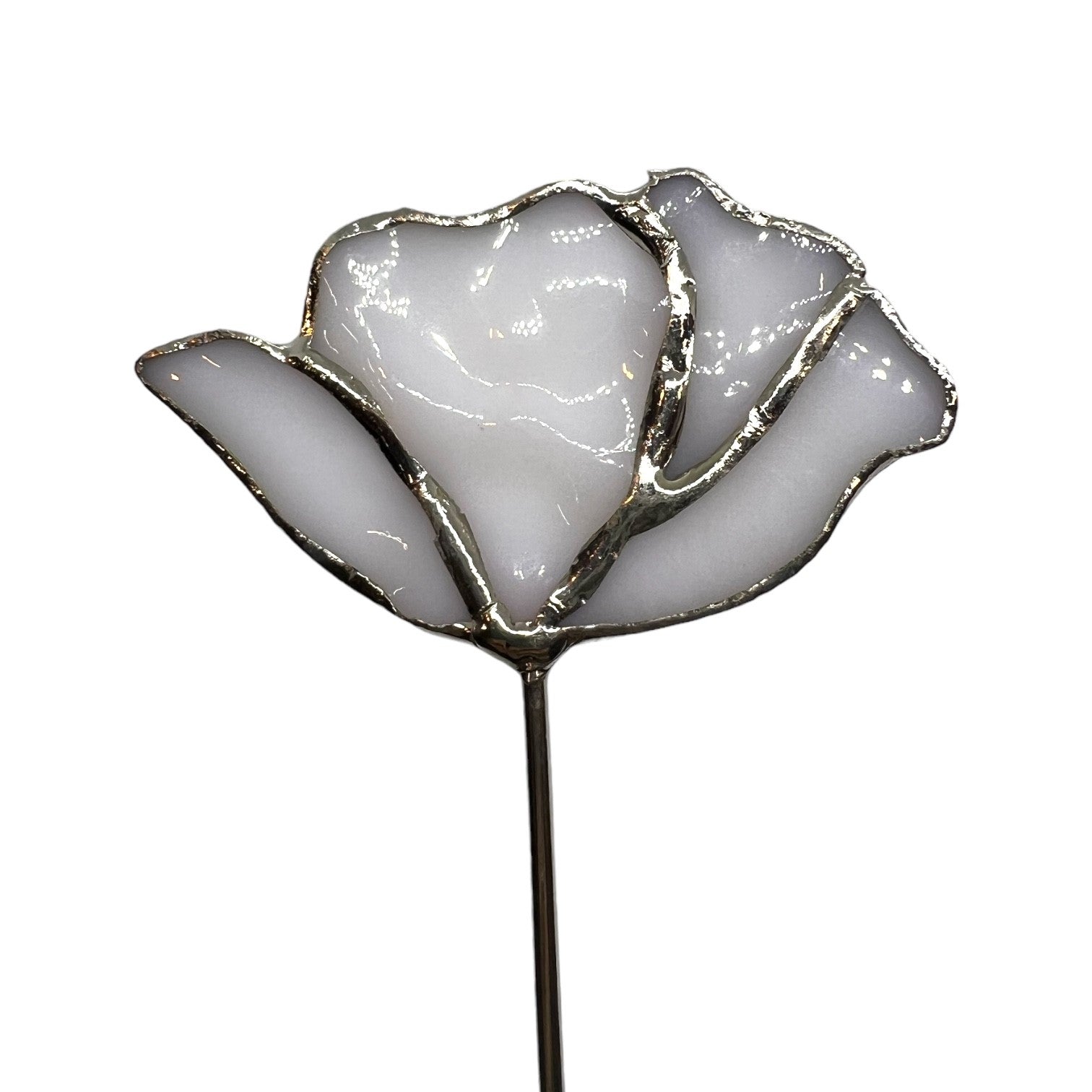 Wildflower F005 – Switchables