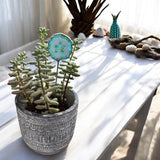 Holiday Mini Plant Stake- Summer Sanddollar