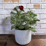 Holiday Mini Plant Stake- Spring LADYBUG