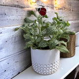 Holiday Mini Plant Stake- Spring LADYBUG