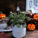 Holiday Mini Plant Stake- Ghost