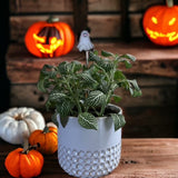 Holiday Mini Plant Stake- Ghost (Available June 2024)