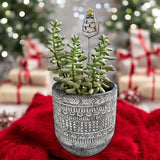 Holiday Mini Plant Stake- Christmas Cat