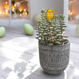 Holiday Mini Plant Stake- Easter Egg