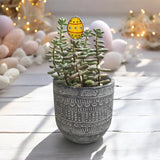 Holiday Mini Plant Stake- Easter Egg