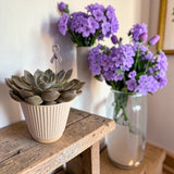Mini Plant Stake- Lavender Cancer Ribbon (For All Cancer)